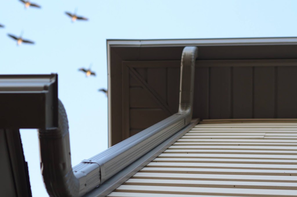 Eavestroughing Plus | 2533 County Rd 12, Essex, ON N8M 2X6, Canada | Phone: (519) 919-5200