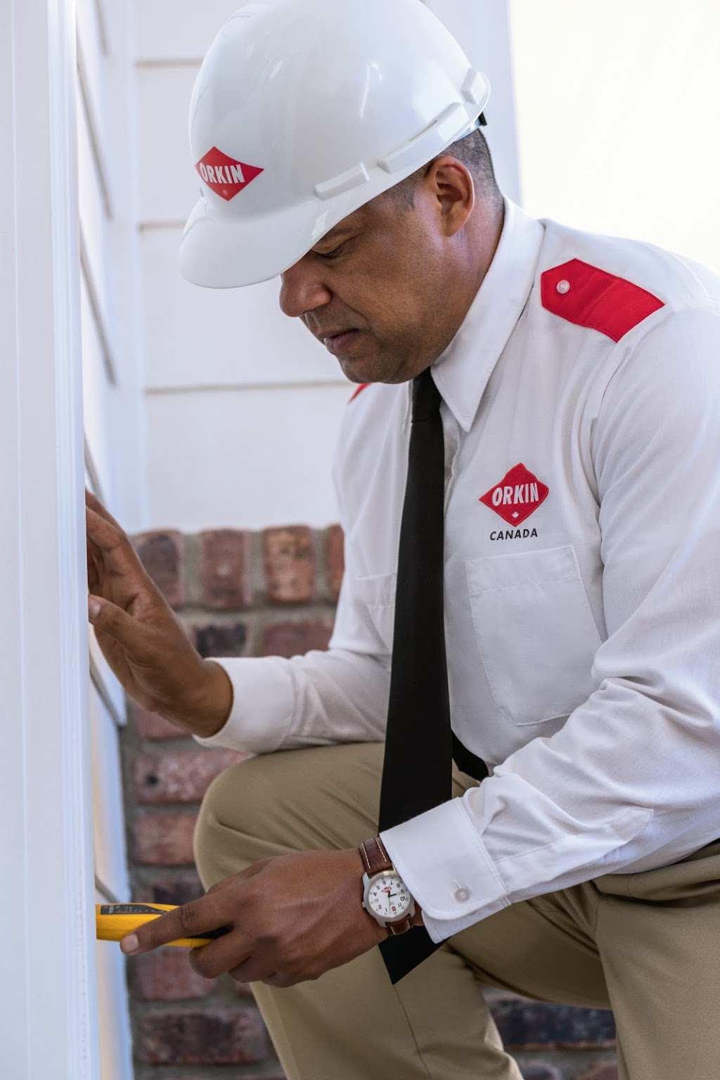 Orkin Canada Pest Control | 650 Boulevard Industriel #102, Blainville, QC J7C 5Y7, Canada | Phone: (800) 570-4157