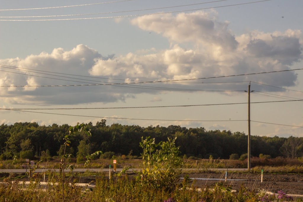 Black Creek Community Association | 2959 Baker Rd, Stevensville, ON L0S 1S0, Canada | Phone: (905) 382-2306