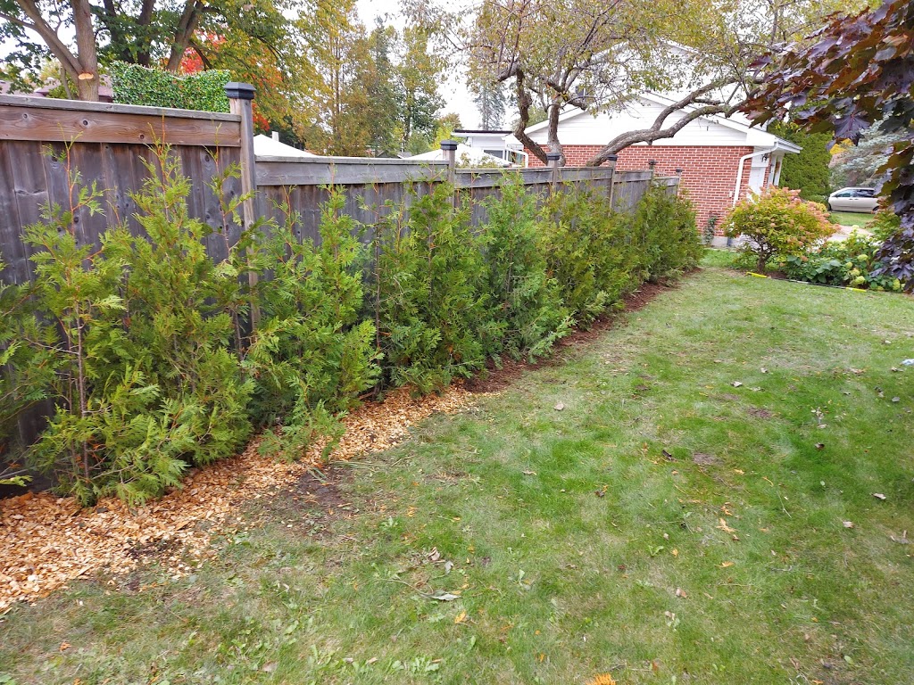 OHagan Trees | 176 Lilac Rd, Omemee, ON K0L 2W0, Canada | Phone: (705) 772-1055