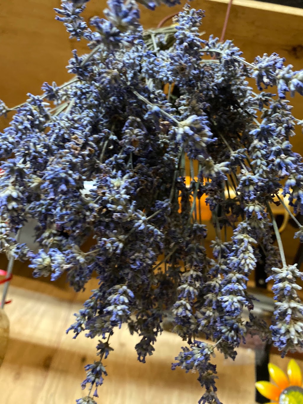 Flowers By May | 123 Carrie Cates Ct #111, North Vancouver, BC V7M 3K7, Canada | Phone: (604) 984-2266