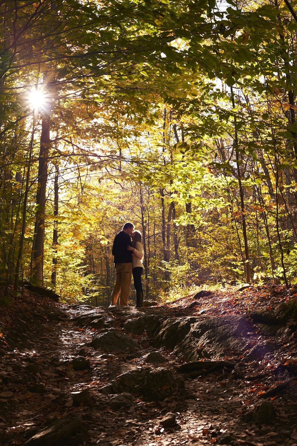 White Bird Photography | 1500 Rue James-Quintin, Sherbrooke, QC J1E 0E5, Canada | Phone: (873) 353-5211