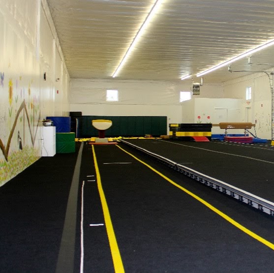 Tumble Bee Gym | 136 Evans St, Hamburg, NY 14075, USA | Phone: (716) 868-1525