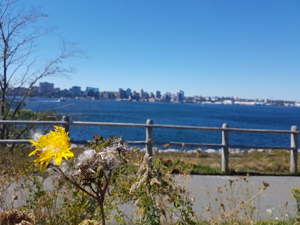 Woodside Area Regional Park | 16 Oceanview Dr, Dartmouth, NS B2Y 3S3, Canada