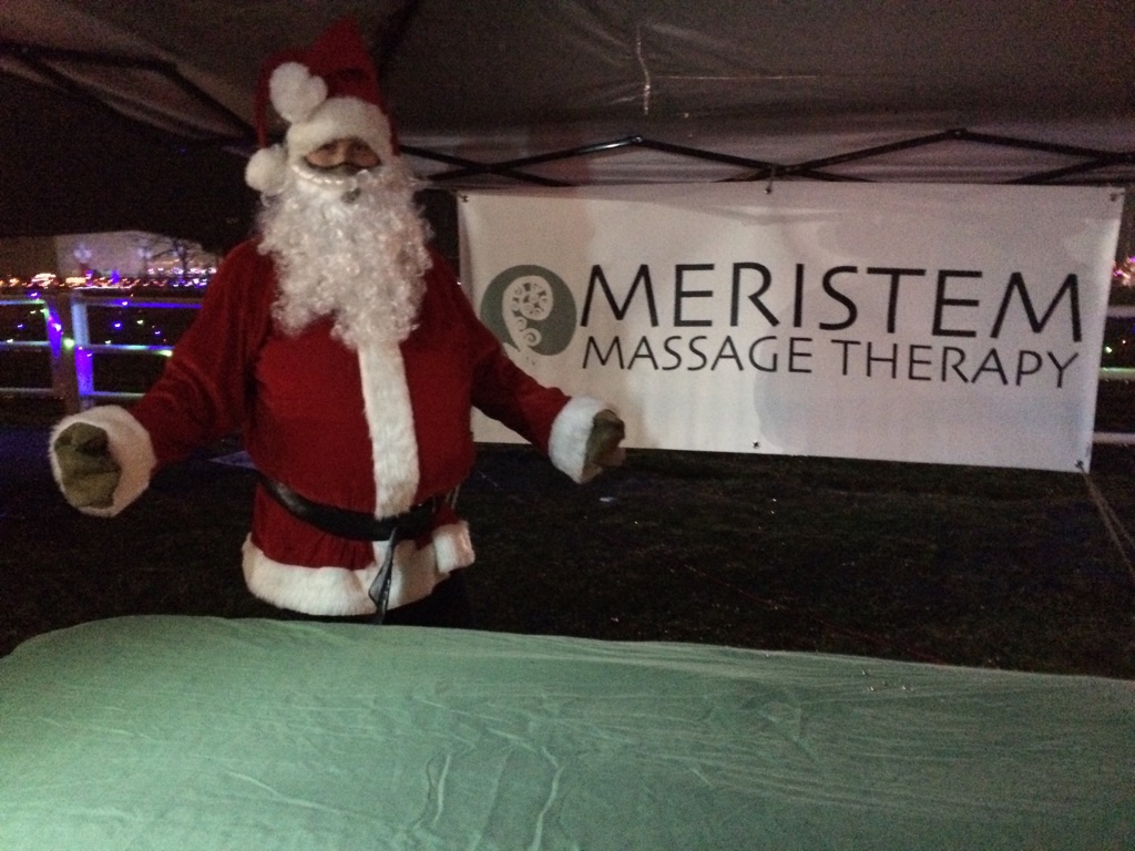 Meristem Massage Therapy | 3722 Carp Rd, Carp, ON K0A 1L0, Canada | Phone: (613) 200-7677