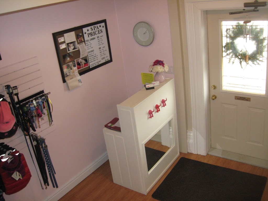 The Pampered Pooch | 493 Main St S, Exeter, ON N0M 1S1, Canada | Phone: (519) 235-6191