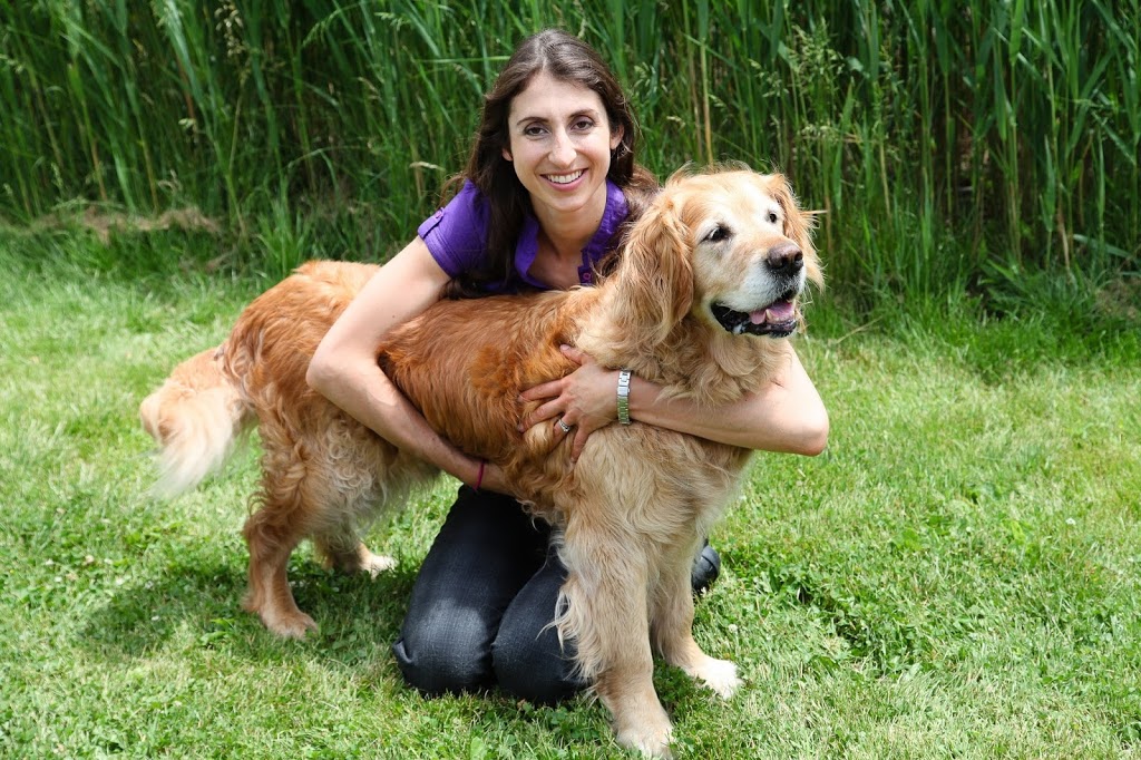 Heartland Niagara Animal Hospital | 7885 McLeod Rd, Niagara Falls, ON L2H 2Y6, Canada | Phone: (905) 357-6777
