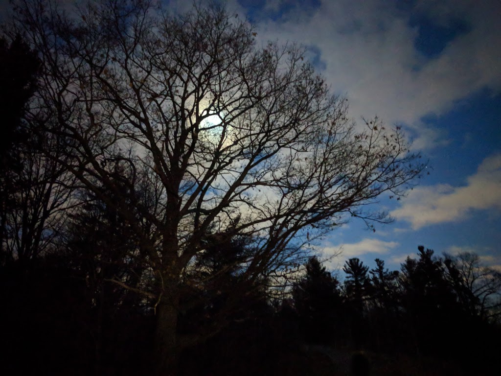 Fprest | 1A6, William Granger Greenway, Woodbridge, ON L4L 1A6, Canada