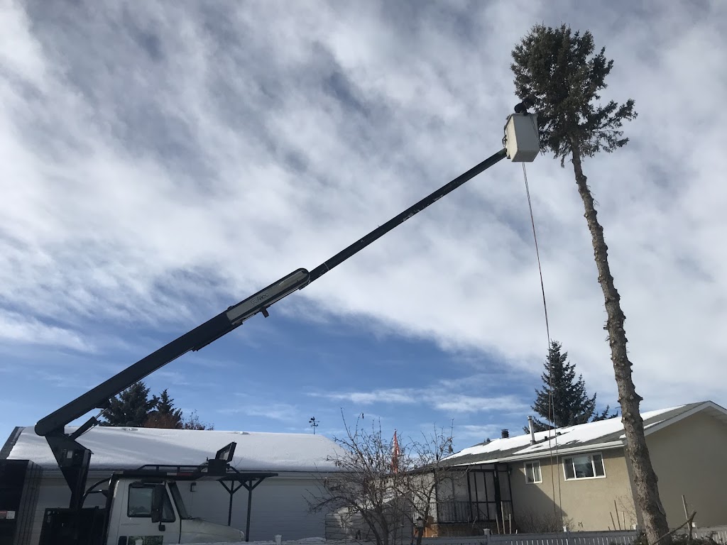 Red Deer Tree Care | 80a Kelloway Crescent #122, Red Deer, AB T4P 4E4, Canada | Phone: (403) 896-5224