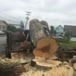 Élagage GB | QC-161, Saint-Valère, QC G0P 1M0, Canada | Phone: (819) 353-2135
