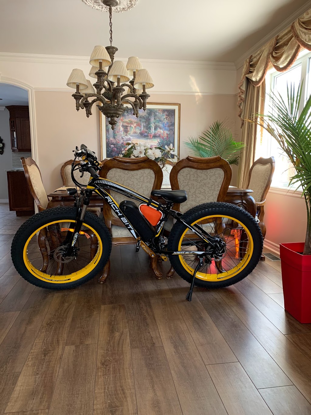 LUSSIER VÉLO | 15 DES CARYERS, Vaudreuil-sur-le-Lac, QC J7V 9R7, Canada | Phone: (514) 829-3568
