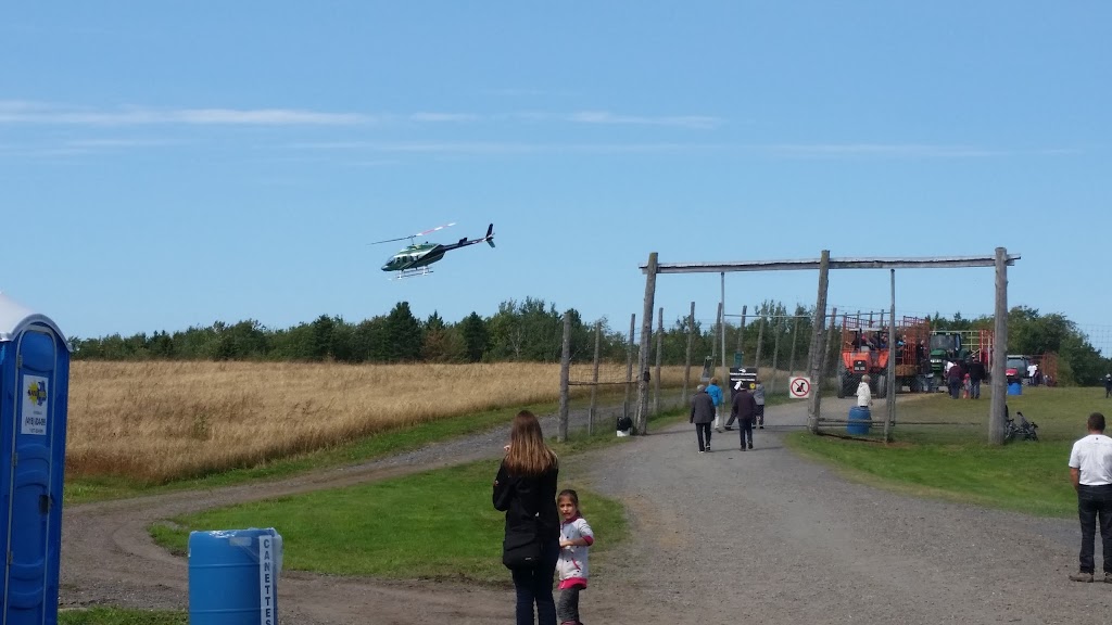 La Ferme du chasseur | 762 Route Sainte-Thérèse, Sainte-Hénédine, QC G0S 2R0, Canada | Phone: (418) 935-3110