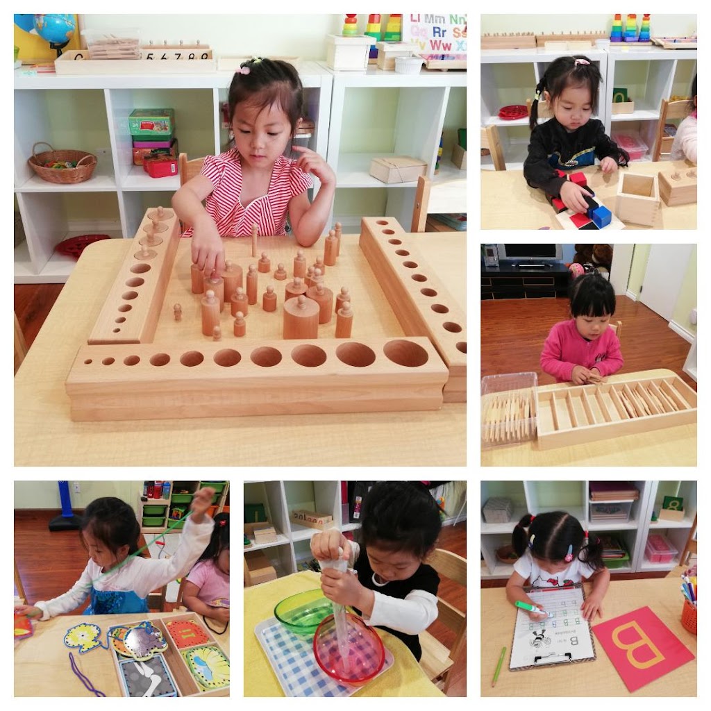 Ready Set Grow Child Care | point of interest | 4611 Princeton Ave, Richmond, BC V7E 4N8, Canada | 7783203987 OR +1 778-320-3987