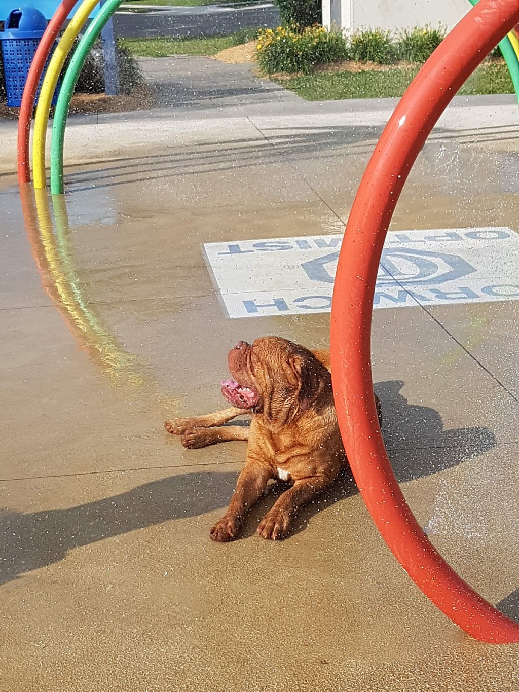 Harold Bishop Park | 13 North Court St W, Norwich, ON N0J 1P0, Canada