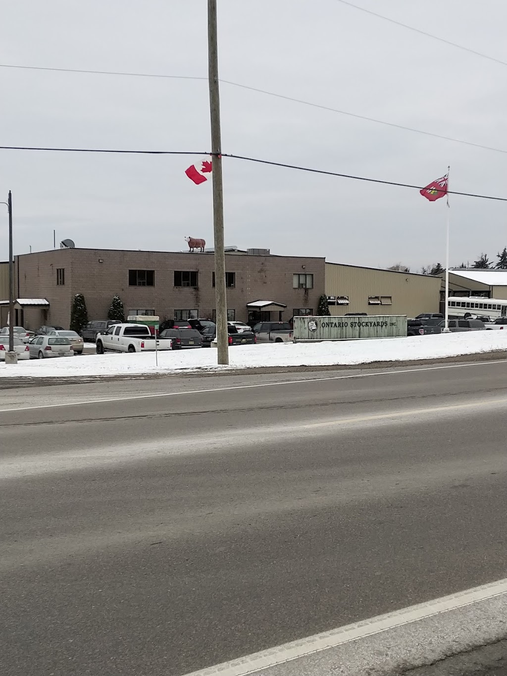 Brussels Livestock | R.R. # 3, Brussels, ON N0G 1H0, Canada | Phone: (519) 887-6461