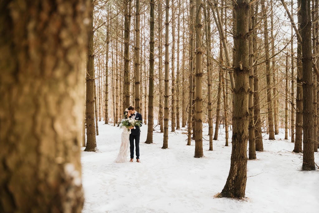 Bryns Photography | 878 Paisley Rd, Guelph, ON N1K 1V8, Canada | Phone: (226) 343-7710