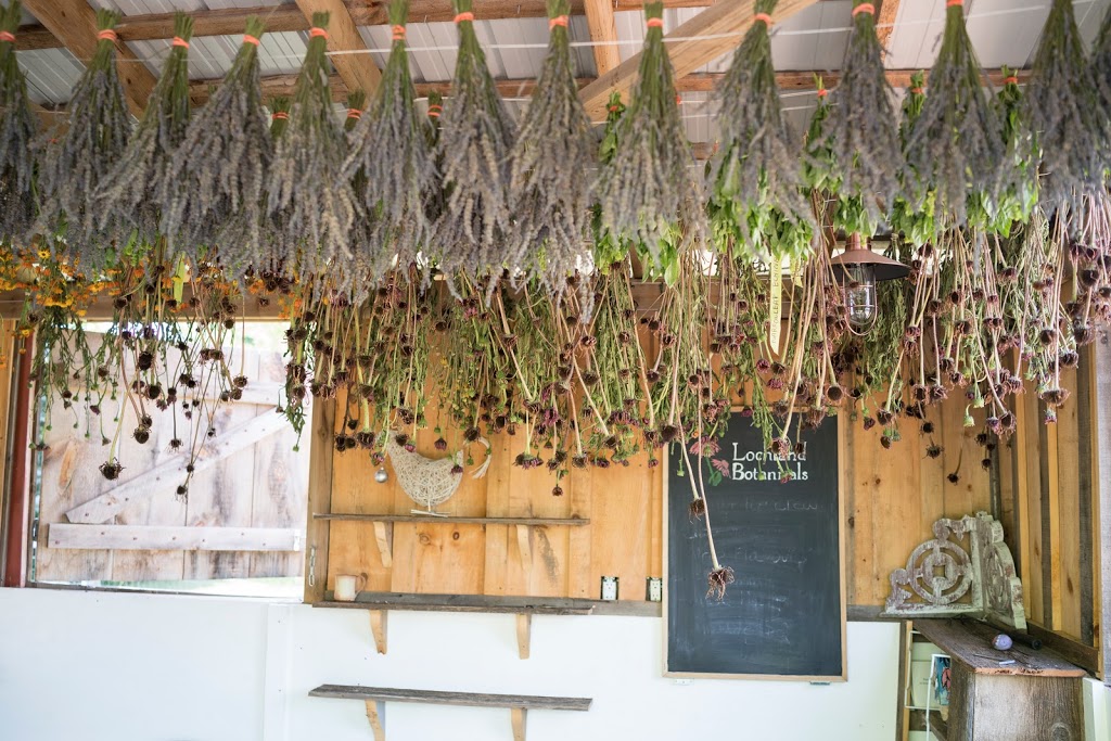 Lochland Botanicals | 2500 25 Side Rd, Campbellville, ON L0P 1B0, Canada | Phone: (519) 831-0363
