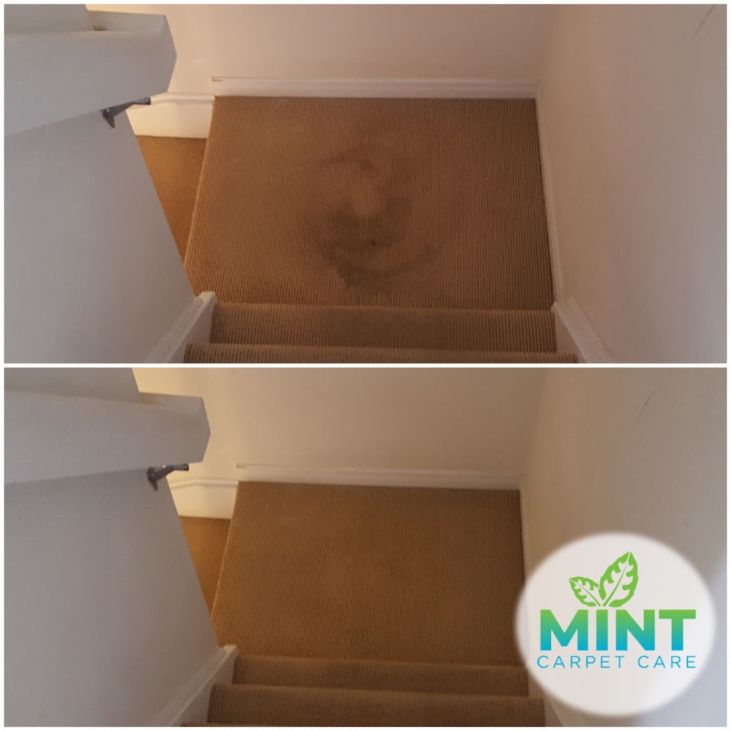 Mint Carpet Care | 317 Park Lawn Rd #28, Etobicoke, ON M8Y 3K2, Canada | Phone: (416) 828-3804