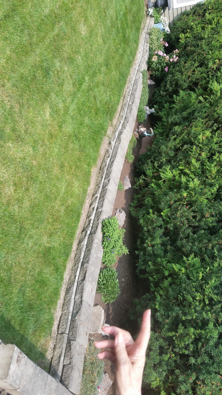 Bayview Lane Park | Langstaff, Markham, ON L3T, Canada