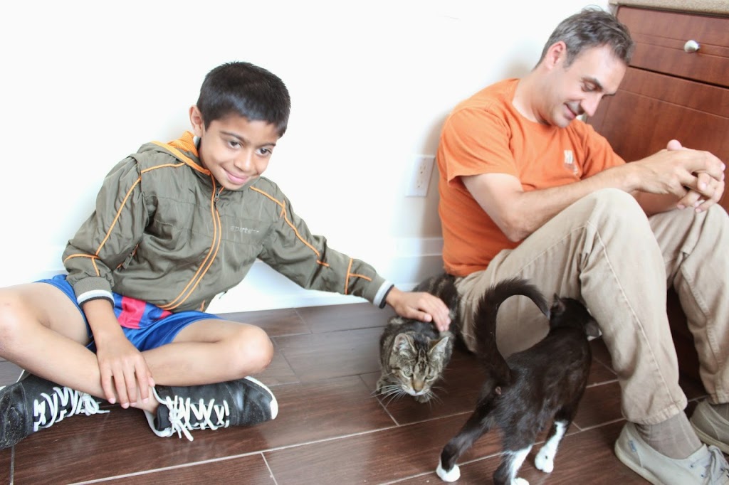 Cornwall Animal Hospital | 1495 Cornwall Rd #36, Oakville, ON L6J 0B2, Canada | Phone: (905) 842-8800
