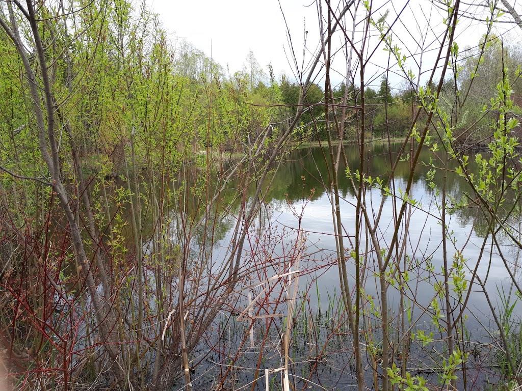 Lennox Park | 54 Widgeon St, Barrie, ON L4N 8W5, Canada | Phone: (705) 739-4255