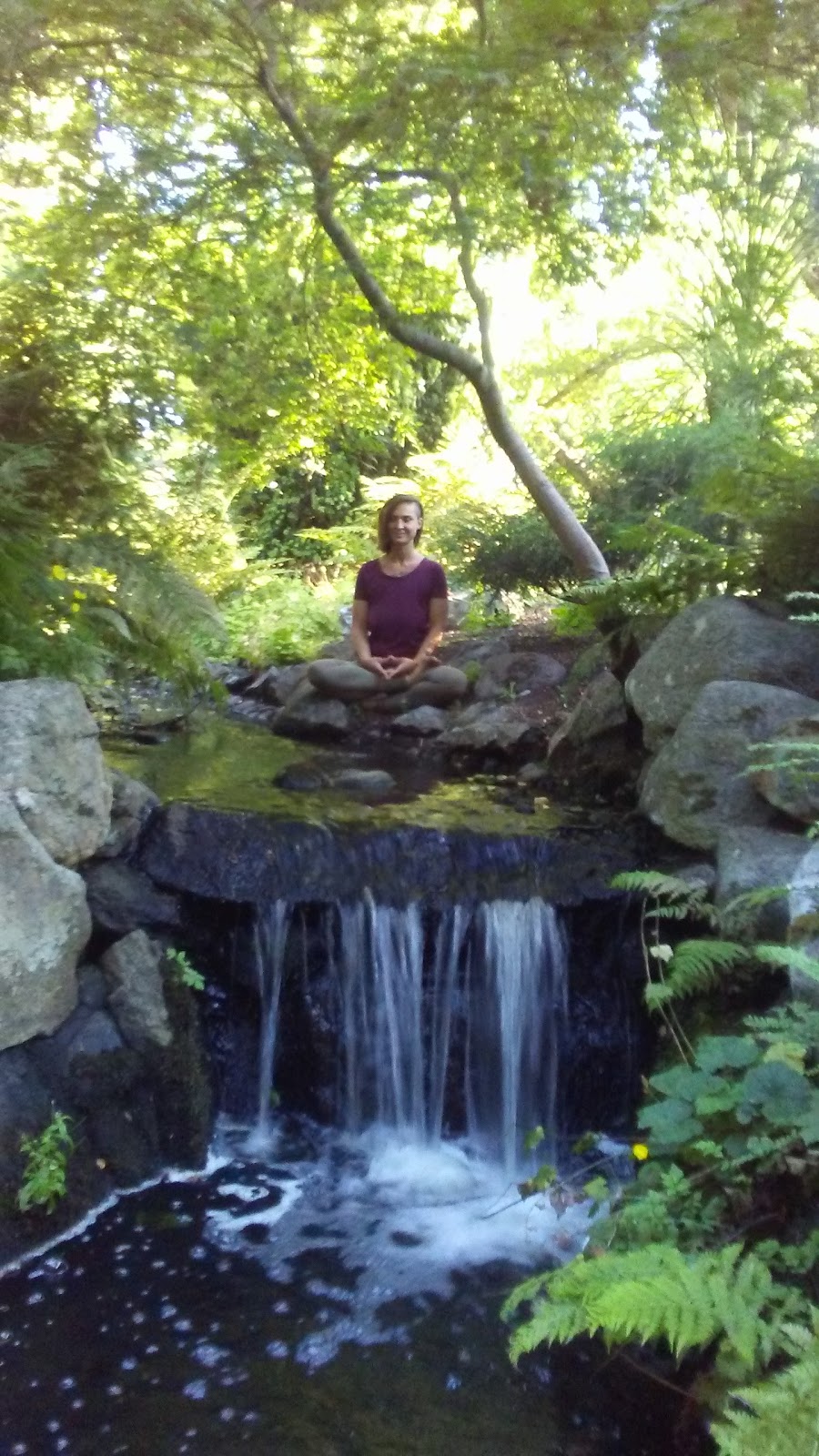 Butterfly Tree Yoga | Victoria, BC V8S 3S7, Canada | Phone: (778) 587-8894