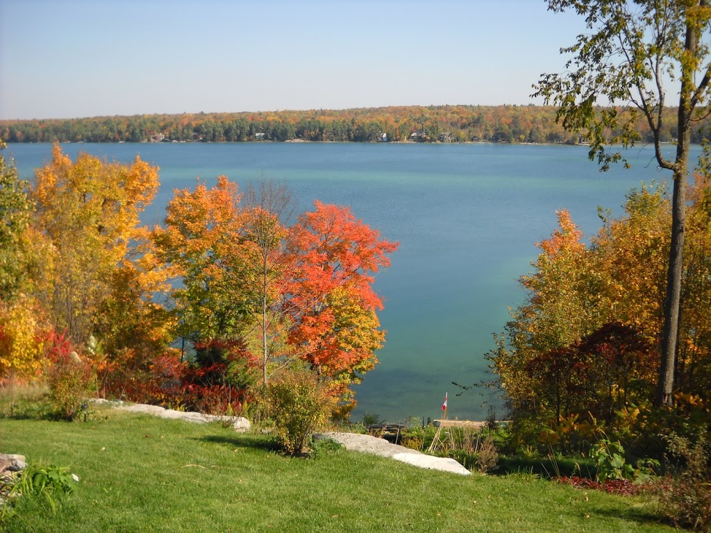 Woodhaven Country Lodge | 97 Fire Rte 51, Buckhorn, ON K0L 1J0, Canada | Phone: (855) 254-3883