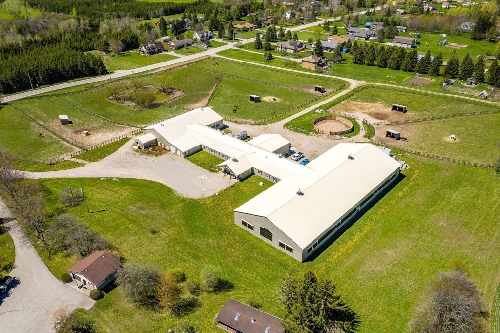 Lynden View Equestrian | 3887 Weimar Line, Wellesley, ON N0B 2T0, Canada | Phone: (519) 820-0513