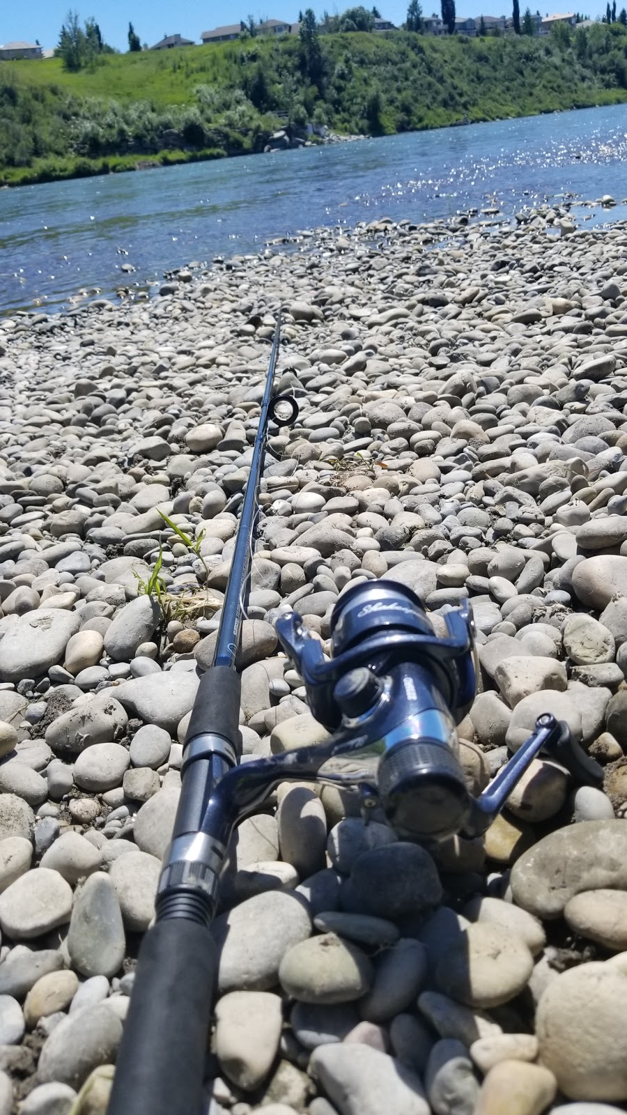 Bankside - Fish Creek Provincial Park | Southeast Calgary, Calgary, AB T2J 6R1, Canada
