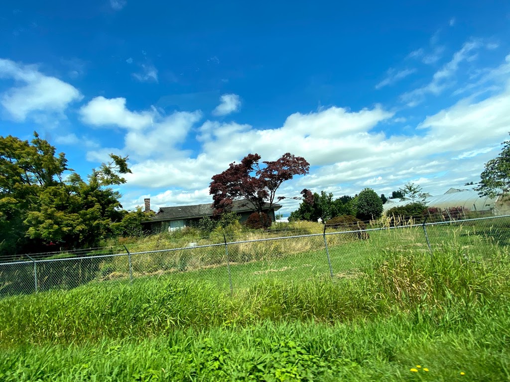 Katos Nursery Ltd | 29435 Downes Rd, Abbotsford, BC V4X 1S3, Canada | Phone: (604) 856-2470