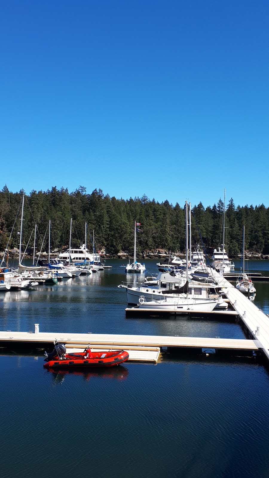 Island Marine Adventures | 1000 Stewart Ave, Nanaimo, BC V9S 4C9, Canada | Phone: (250) 714-5303