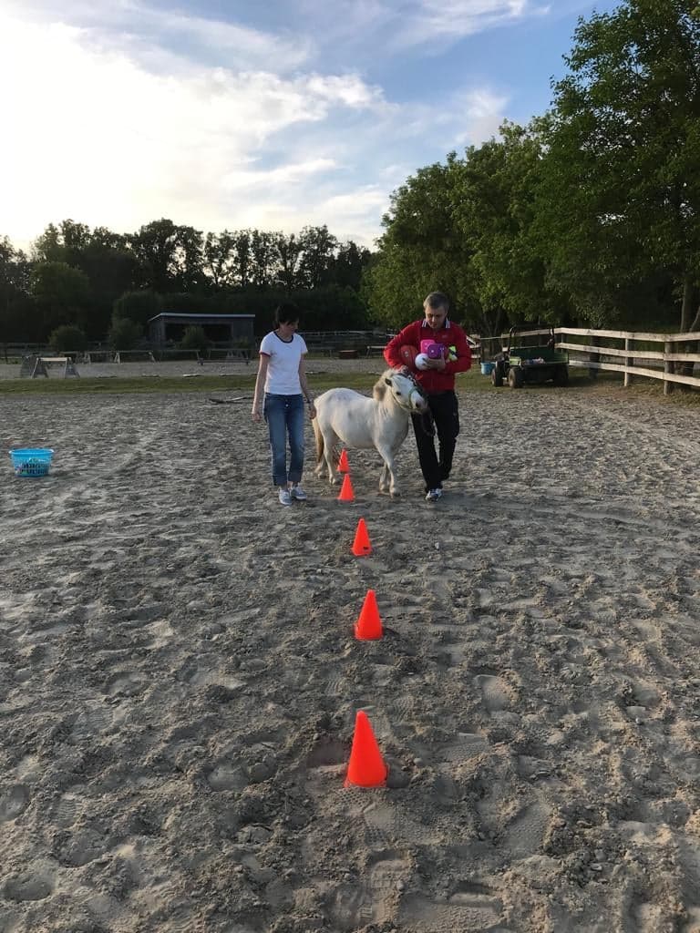 Horse Therapy Centre of Canada | 246 Webb Rd, Whitchurch-Stouffville, ON L4A 7X4, Canada | Phone: (647) 390-5397