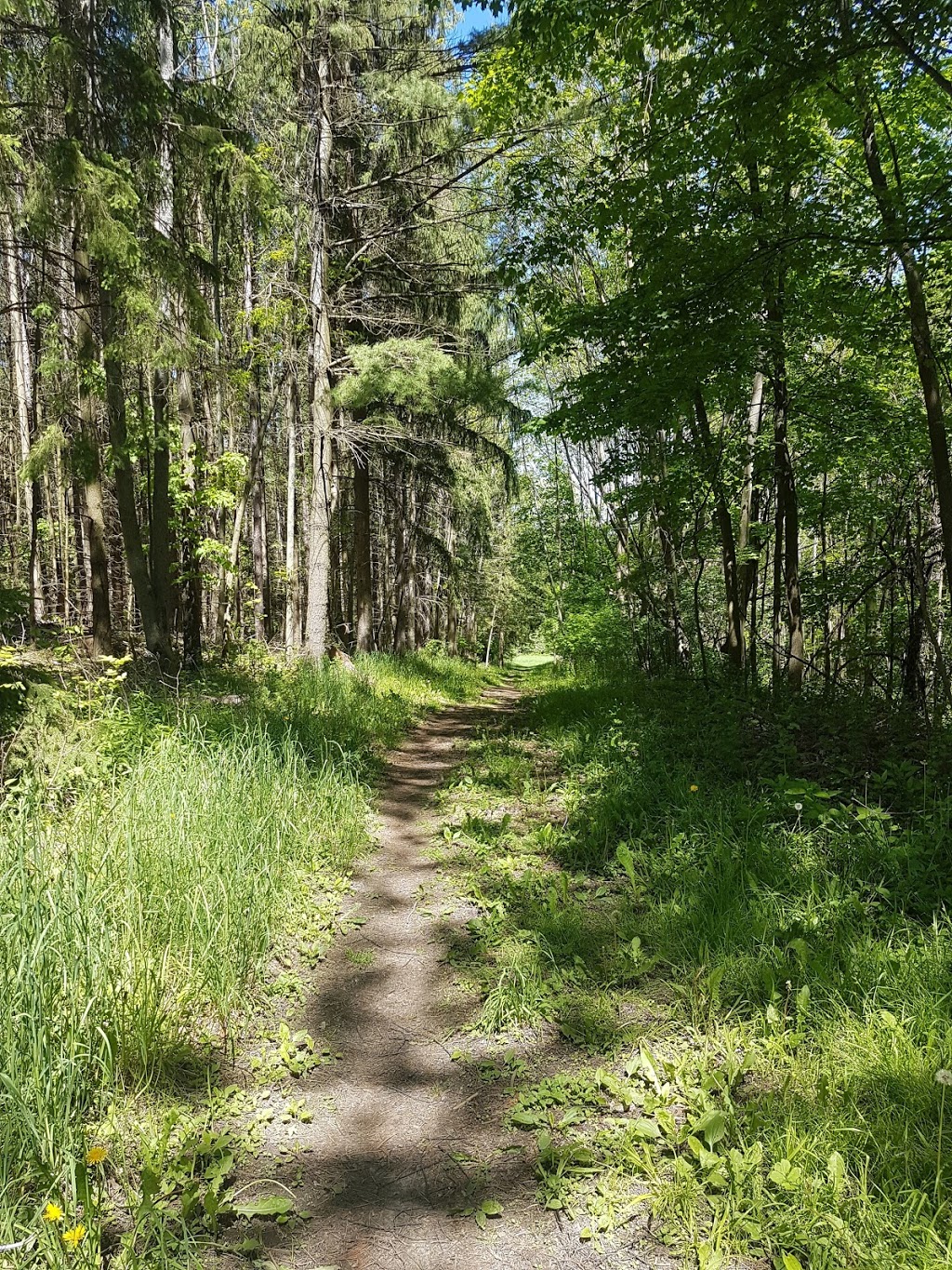 Albion Hills Conservation Park | 16500 Peel Regional Rd 50, Caledon, ON L7E 3E7, Canada | Phone: (905) 880-0227