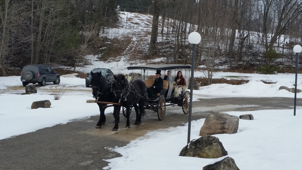 Windsong Carriage & Ranch | 597520 Grey Rd 29, Bognor, ON N0H 1E0, Canada | Phone: (519) 376-1518