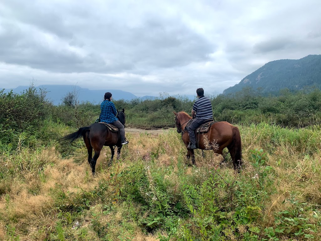 Mustang Riding Stables | 14729 Sylvester Rd, Fraser Valley F, BC V2V 0B9, Canada | Phone: (604) 826-1800