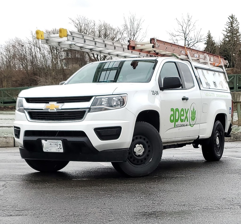Apex Pest Control Services | 240 Magurn Gate, Milton, ON L9T 7B3, Canada | Phone: (888) 434-2739