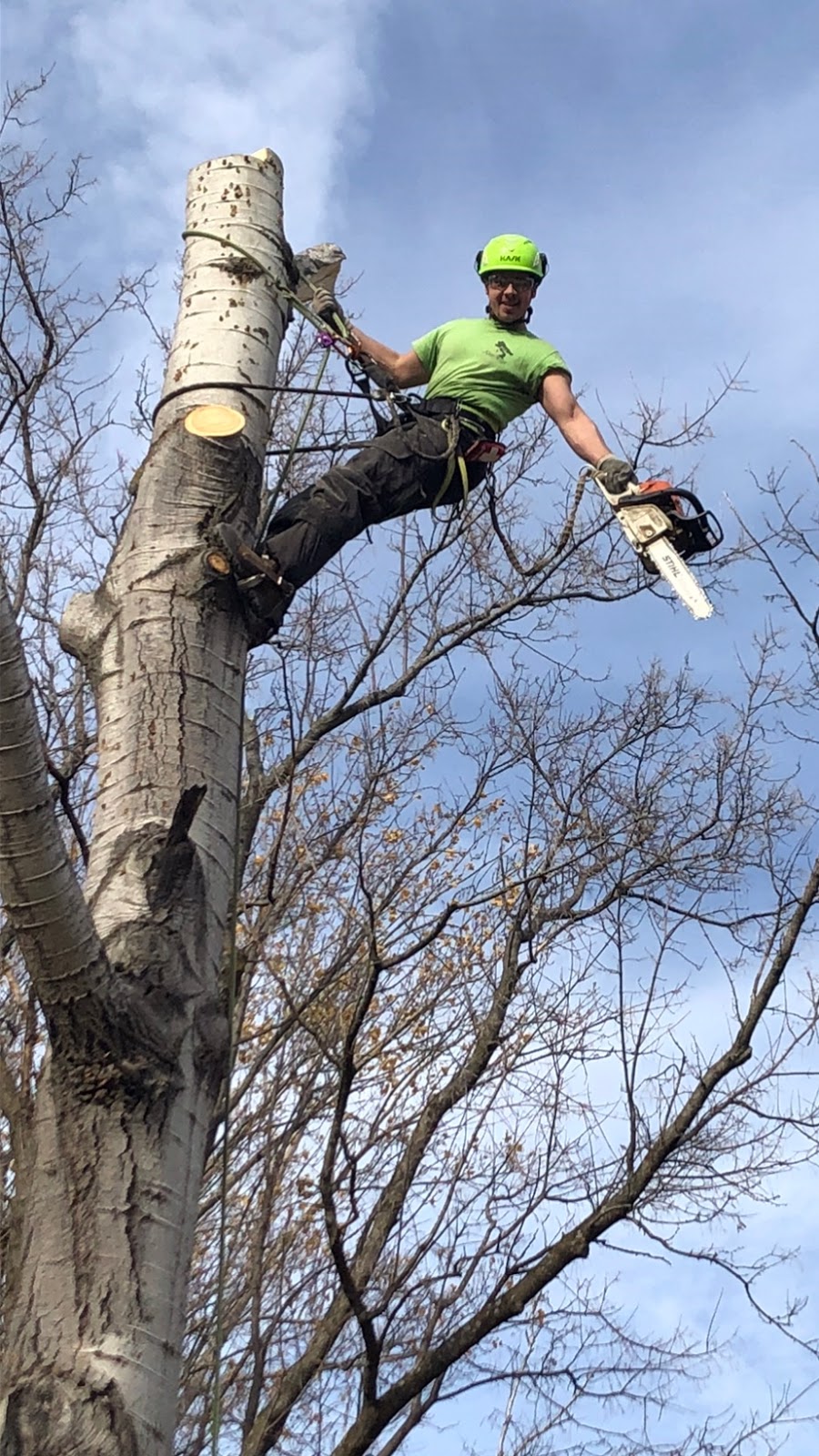 Southern Tree Service | 828254 Mulmur Nottawasaga Townline, Mulmur, ON L9V 0Y7, Canada | Phone: (705) 443-7789
