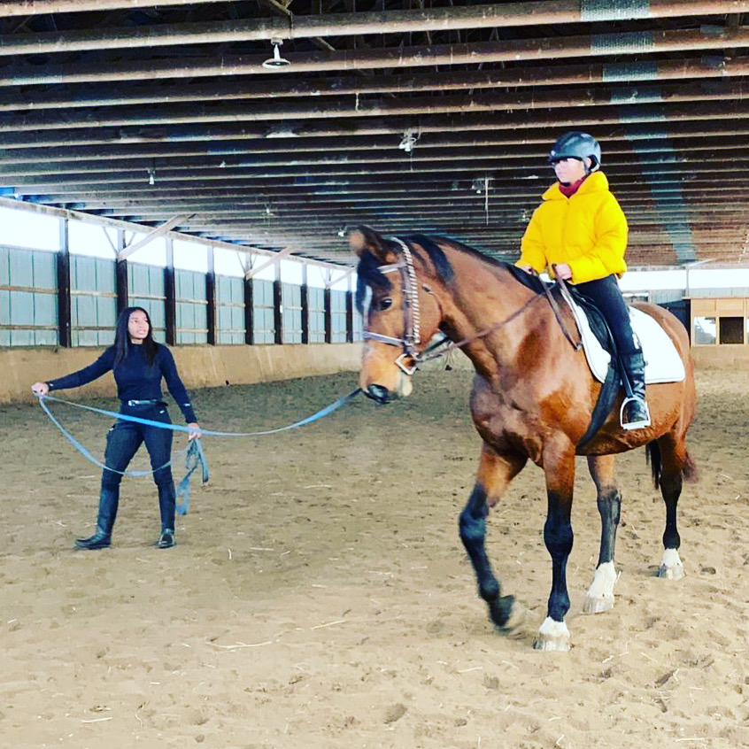 Royal Friesian Farm | 15010 Dufferin St, King City, ON L7B 1K5, Canada | Phone: (647) 773-6843
