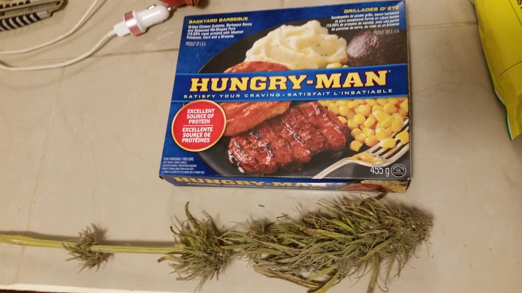 C&J Food Store | Winnipeg, MB R2X 0W7, Canada