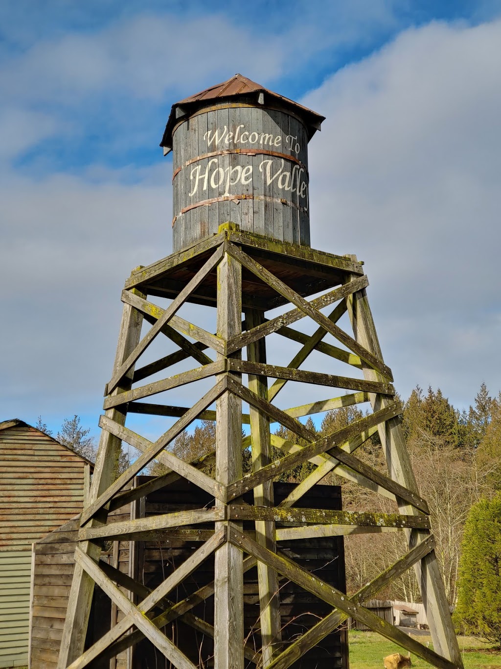MacInnes Farms, Be Ingredients | 6975 248 St, Langley City, BC V4W 1C2, Canada | Phone: (778) 855-1376