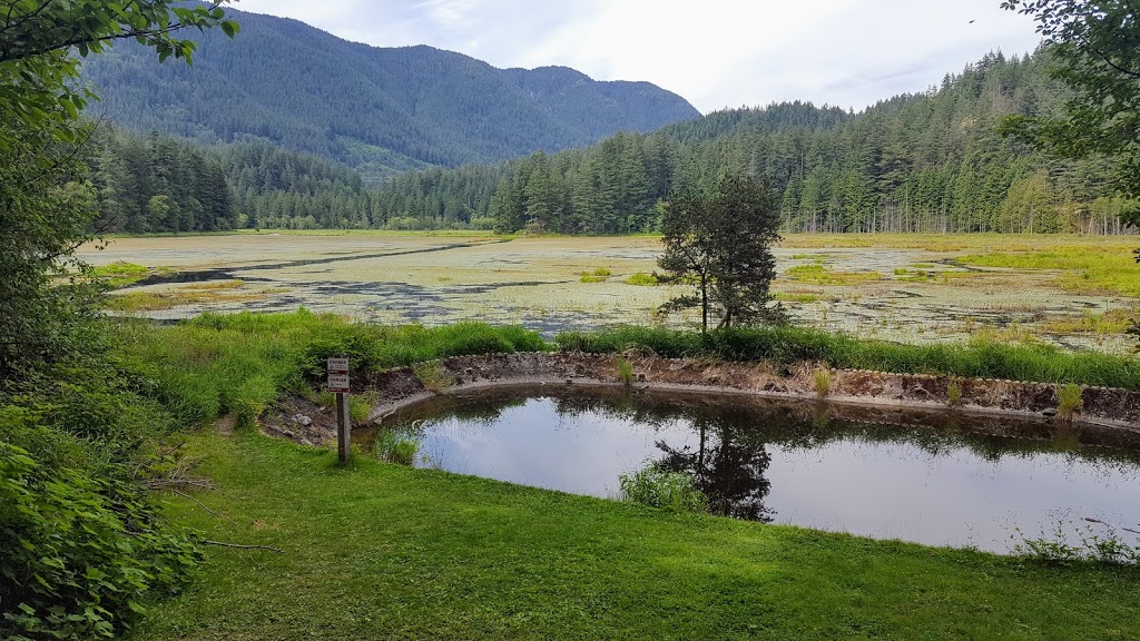 Lodge Trail | Unnamed Road, Coquitlam, BC V3E 3H6, Canada | Phone: (604) 927-4386