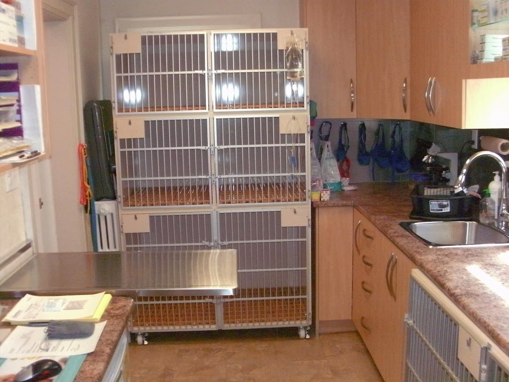 Orchard Grove Animal Clinic | 397 Old Orchard Grove, North York, ON M5M 2G1, Canada | Phone: (416) 783-5958