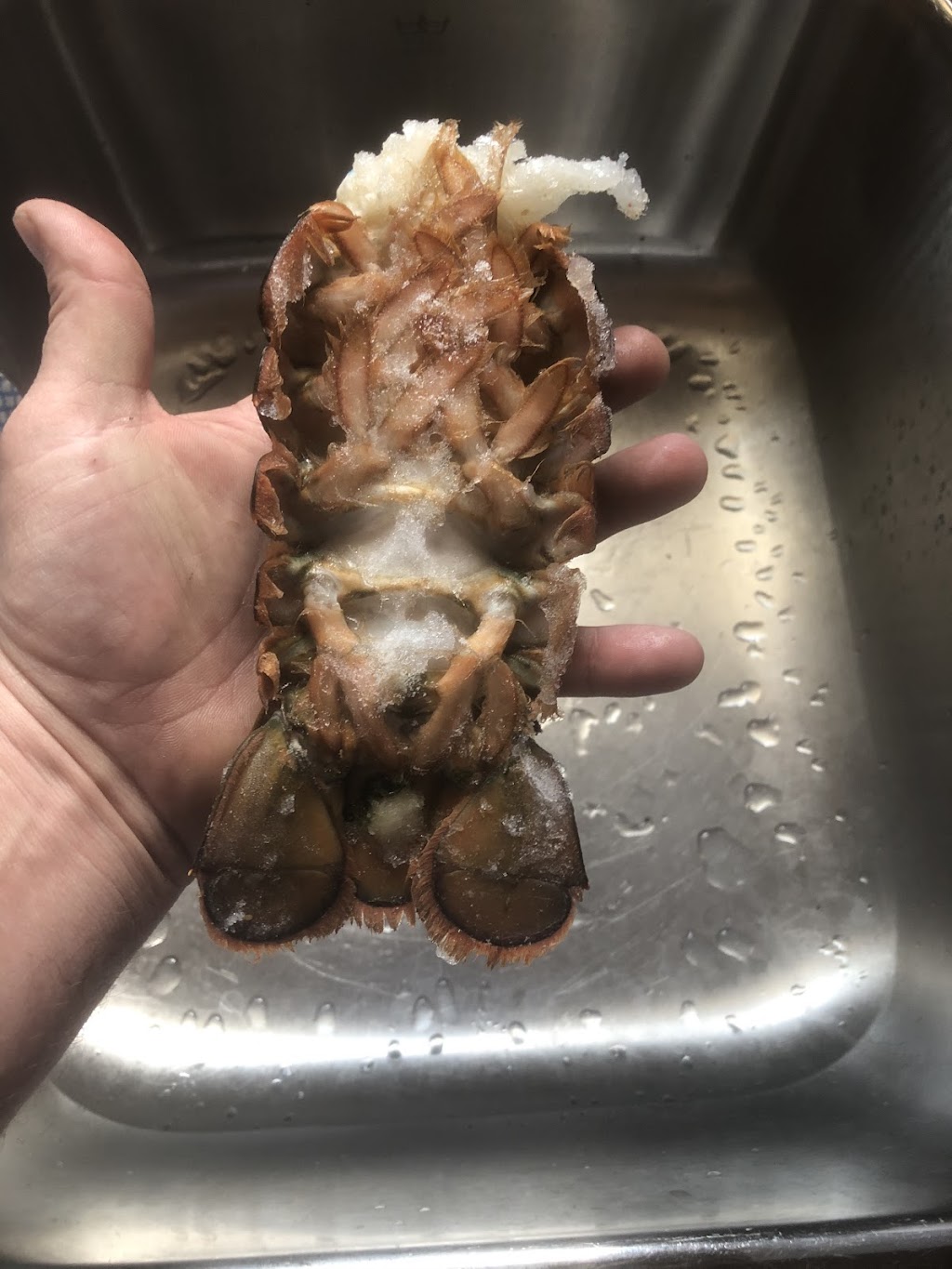 Harbour Seafood | 15 Gill St, Coldwater, ON L0K 1E0, Canada | Phone: (705) 543-0311