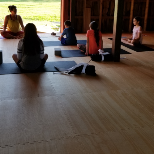 Shinryu Dojo | 3352 5th Line, Ohsweken, ON N0A 1M0, Canada | Phone: (905) 973-7776