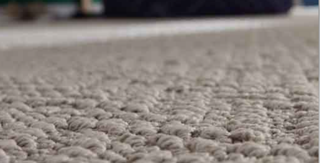 Diamond Carpet Cleaning | 1376 Winnipeg Ave W, Winnipeg, MB R3E 0S6, Canada | Phone: (204) 783-9915