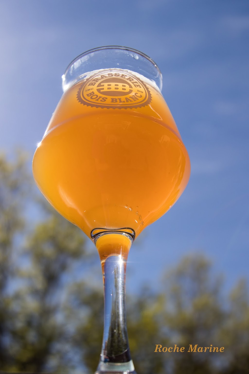 Brasserie du Bois Blanc | 518 Rue Main, Hudson, QC J0P 1H0, Canada | Phone: (450) 613-1506