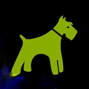 Groomingdale’s pet grooming | 264 Baker Dr, Dartmouth, NS B2W 6L4, Canada | Phone: (902) 464-6460