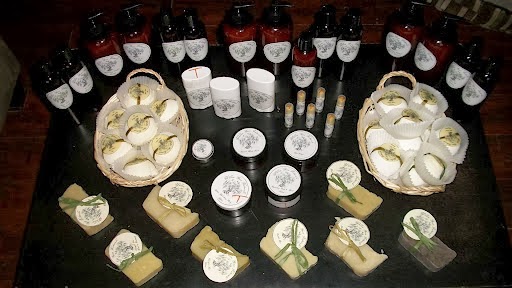 Willow Grove Naturals | 38 E 22nd St, Hamilton, ON L8V 2V3, Canada | Phone: (905) 746-6678