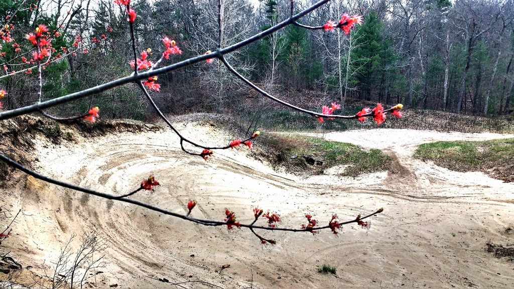 Karner Blue Sanctuary | 9900 Nipigon St, Port Franks, ON N0M 2L0, Canada