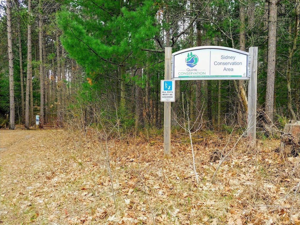 Sidney Conservation Area | 379 Airport Rd, Stirling, ON K0K 3E0, Canada | Phone: (613) 968-3434
